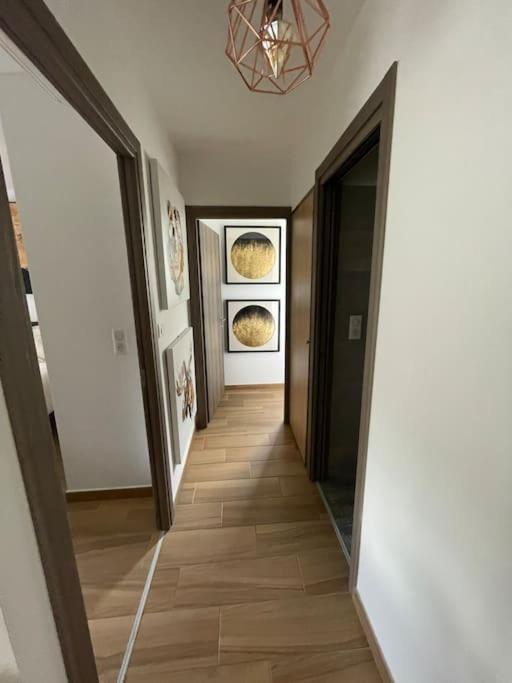 Appartement Calme Proche Bastia Cardo Extérieur photo